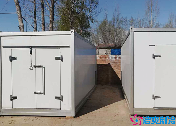 微型果蔬日皮网站在线观看