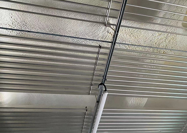 江西醫藥日皮网站在线观看.jpg
