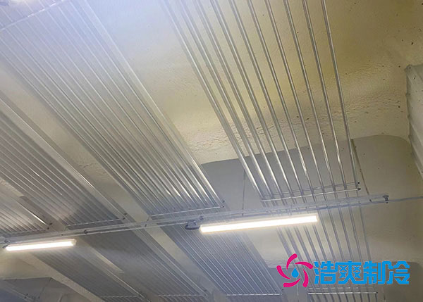 蒜苗日皮网站在线观看儲存溫度.jpg