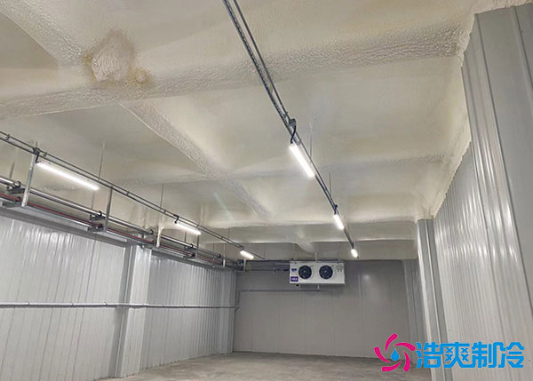 河北生鮮日皮网站在线观看設計定製規範.jpg
