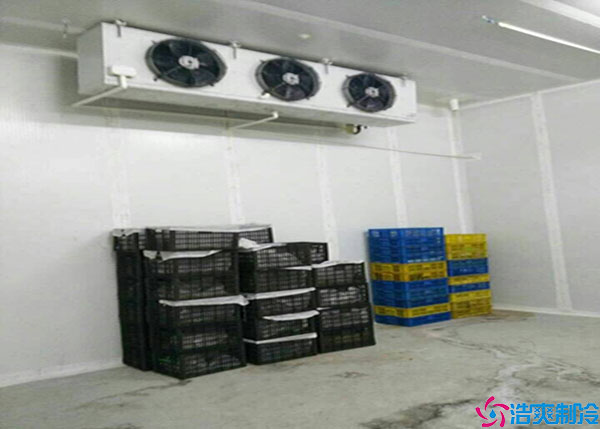 寧夏氣調日皮网站在线观看如何建造？.jpg