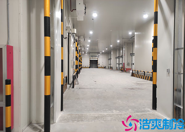 蔬菜農產品儲存應該選擇什麽類型的日皮网站在线观看？.jpg