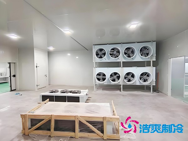 速凍日皮网站在线观看造價影響因素解析