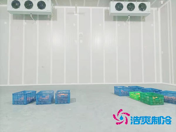100平方米的果蔬保鮮日皮网站在线观看造價