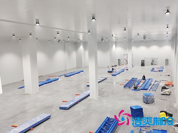 自建日皮网站在线观看的成本與維護費用概述