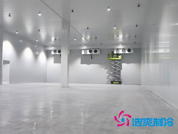 自建日皮网站在线观看的成本與維護費用概述