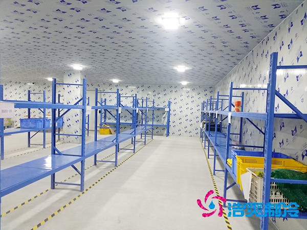 生鮮超市日皮网站在线观看建造