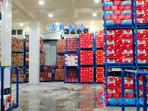 保鮮日皮网站在线观看造價概覽，果蔬保鮮庫費用解析