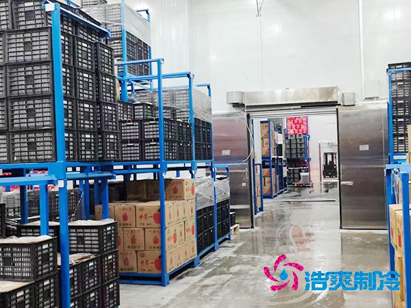 生鮮冷鏈物流日皮网站在线观看建造價格