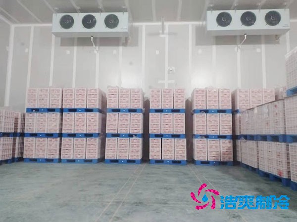 上海建設50噸果蔬氣調保鮮日皮网站在线观看造價解析