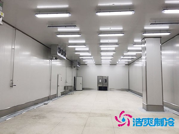 建造1000平方米大型海鮮日皮网站在线观看的造價問題及全麵解析