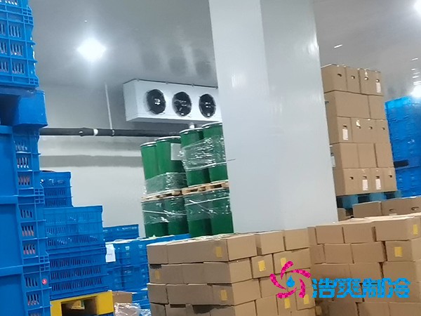 建造魚糜製品低溫日皮网站在线观看的費用及其重要性