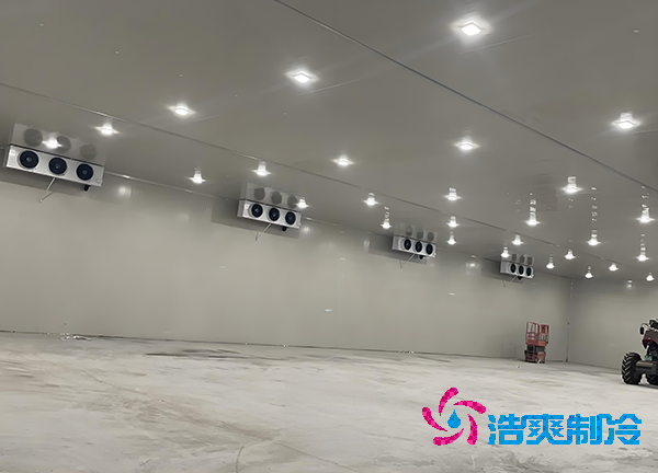 -18℃凍肉能放半年？揭秘食品日皮网站在线观看造價秘密！-日皮APP免费下载製冷