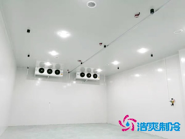 日皮网站在线观看造價揭秘：300平方米到底要花多少錢？-日皮APP免费下载製冷