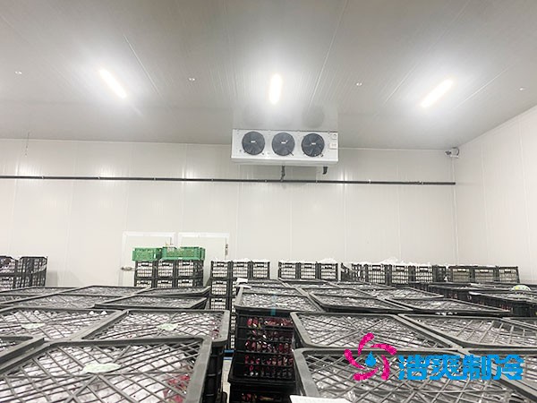 想知道保鮮日皮网站在线观看設計安裝要花多少錢？-日皮APP免费下载製冷