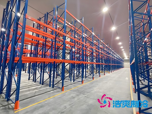 4000㎡冷鏈日皮网站在线观看造價