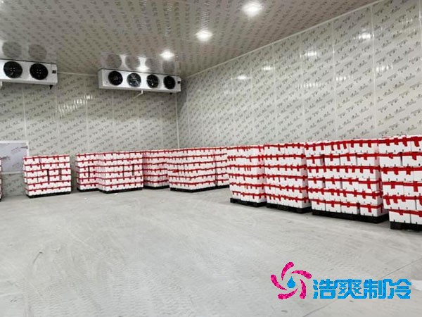 小型日皮网站在线观看造價預算