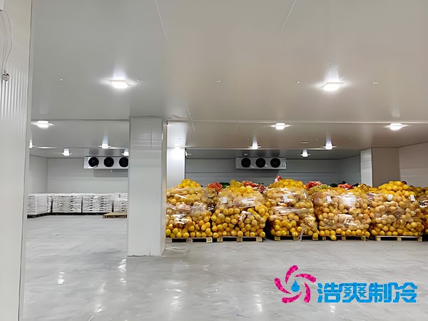 10萬元能建造多大規模的日皮网站在线观看？可以用幾年？