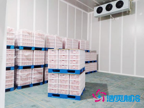 大型氣調日皮网站在线观看造價