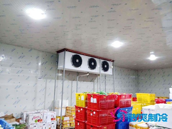 建造食品保鮮日皮网站在线观看價格