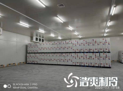 安徽洽洽49500m³食品加工日皮网站在线观看建造