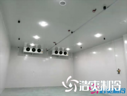 上海巴洛美巧克力食品日皮网站在线观看建造設計