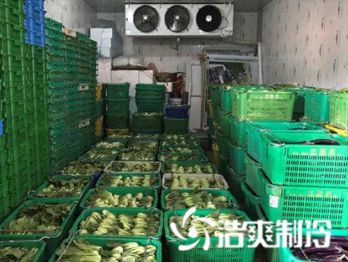 生鮮食品物流日皮网站在线观看