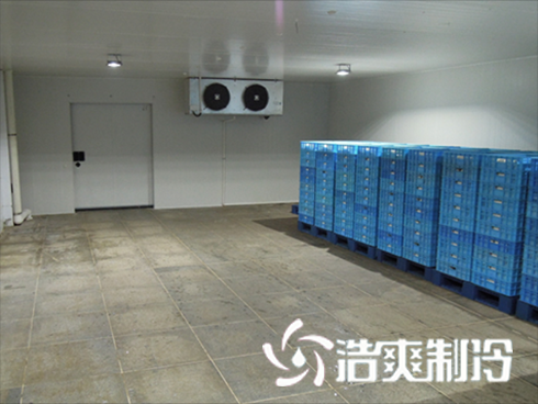 食品日皮网站在线观看建造價格