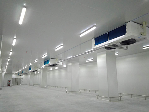 河北周黑鴨新工廠項目1#車間日皮网站在线观看建造工程案例