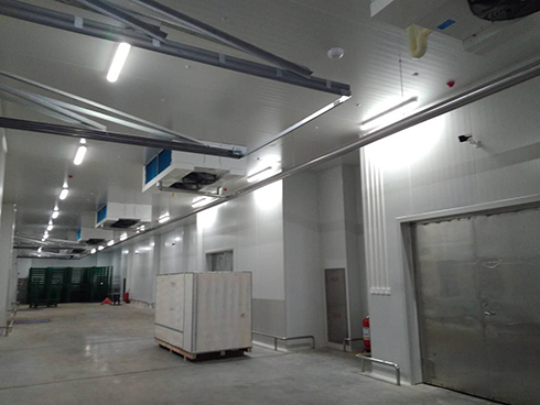 河北周黑鴨新工廠項目1#車間日皮网站在线观看建造工程案例