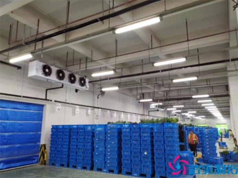 叮咚買菜17000m³生鮮電商日皮网站在线观看建造